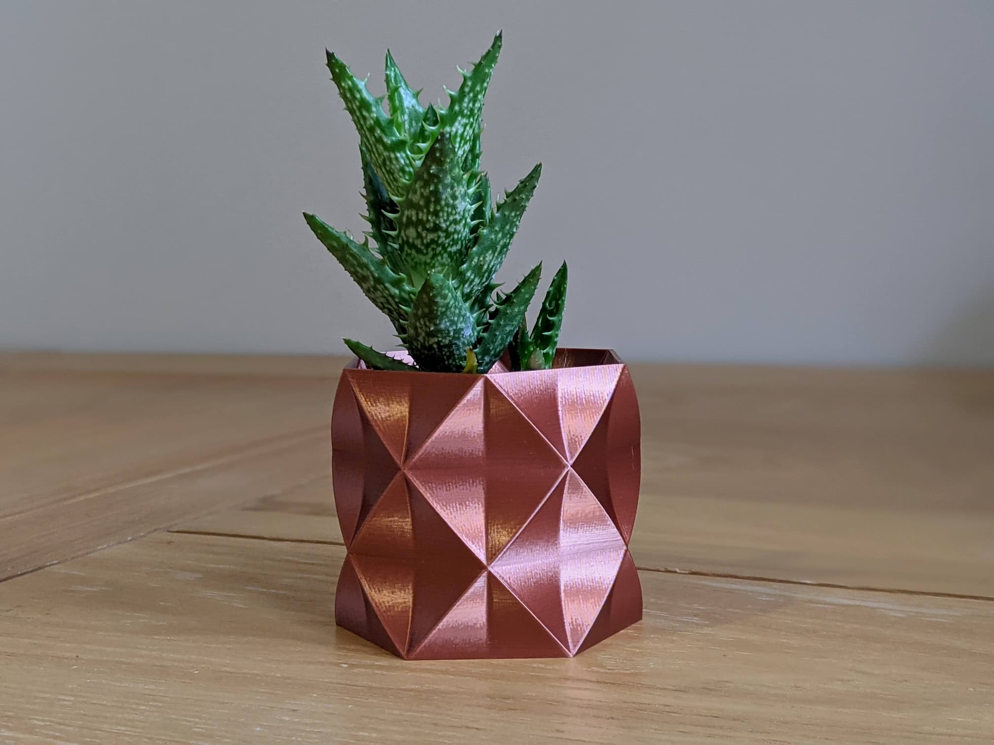 Succulent Plant Pot / Planter "Arnold"