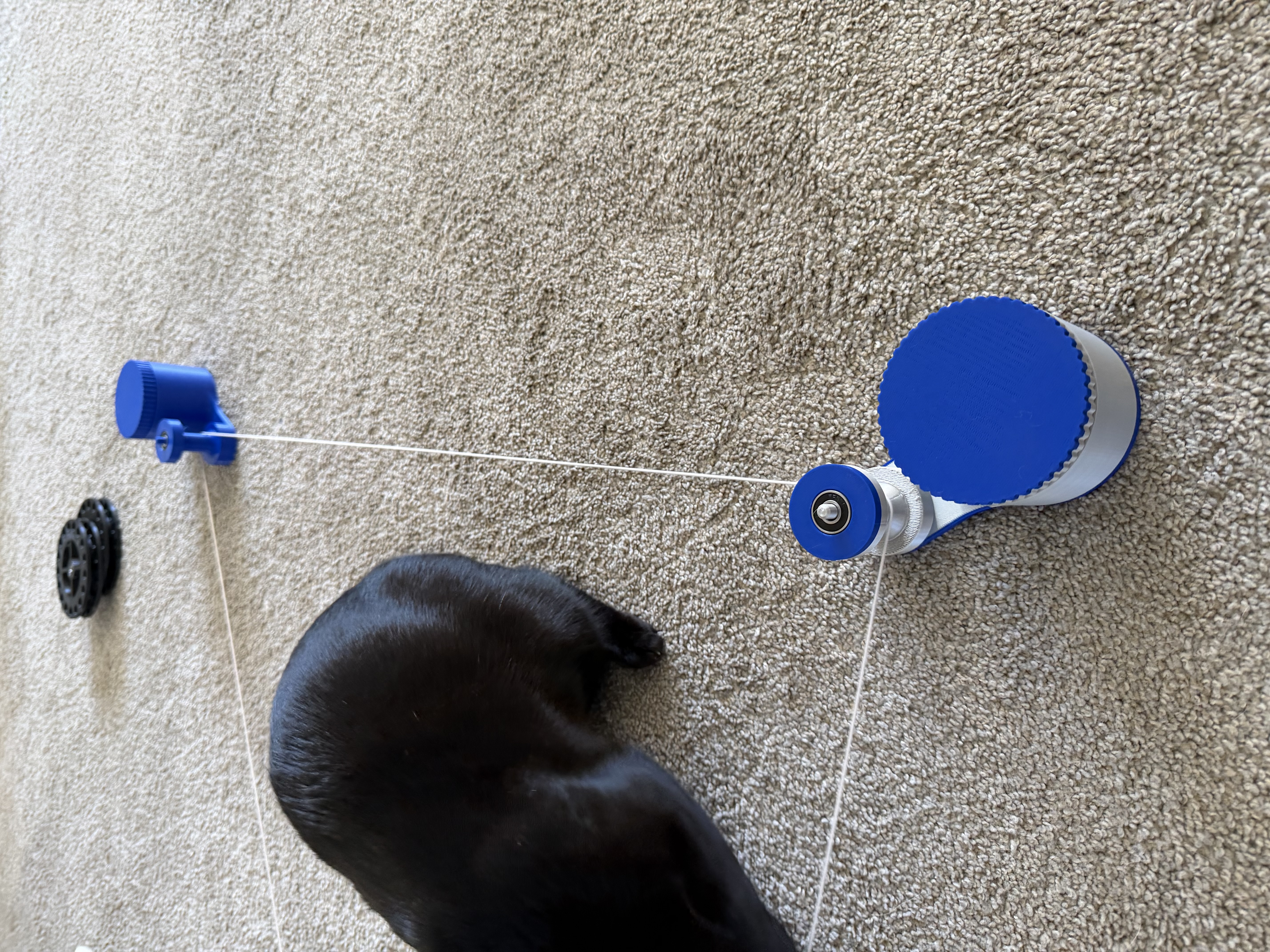 Tubed Roller For Pulley-Driven Toy Chaser