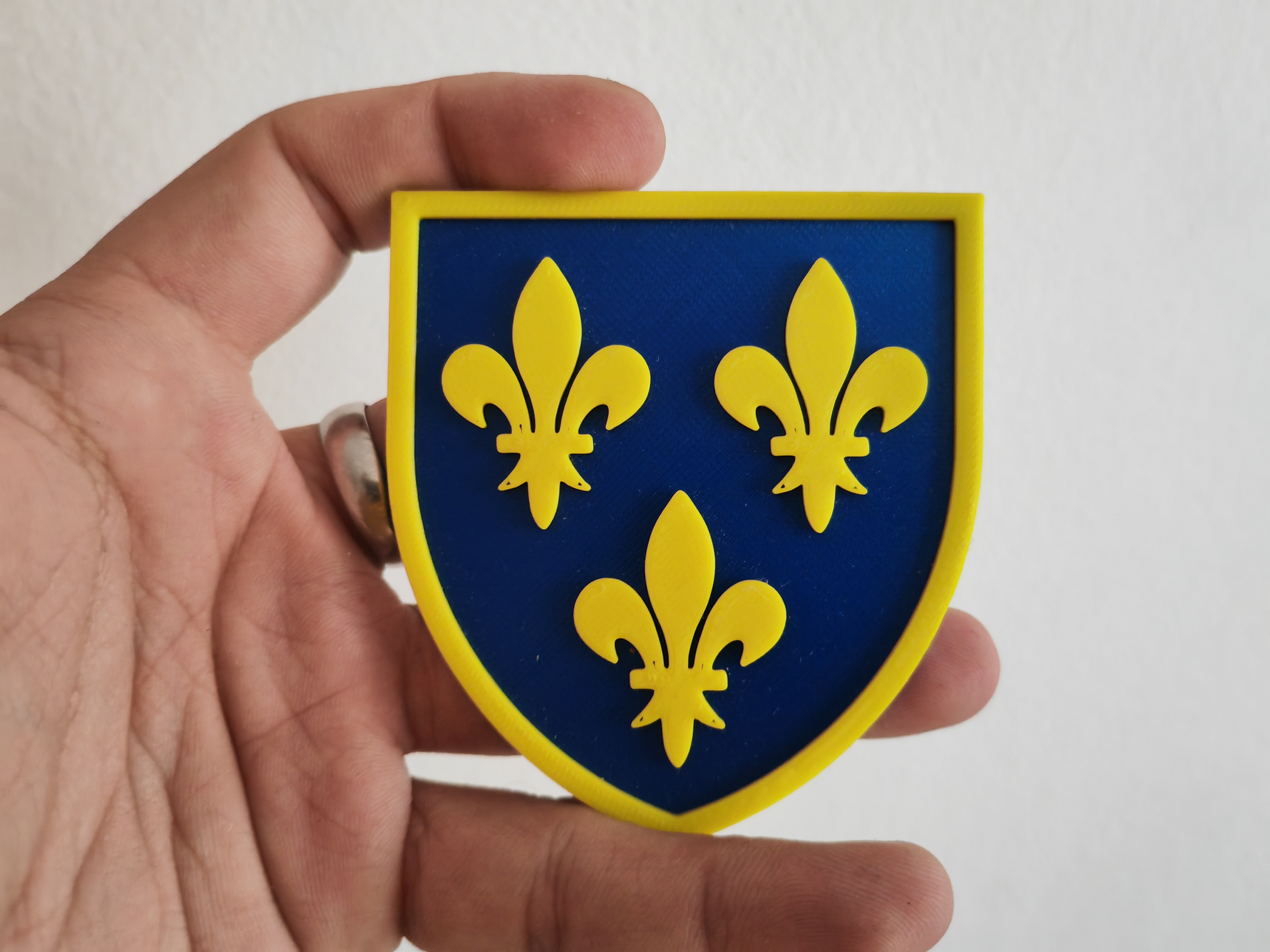 Heraldry - France