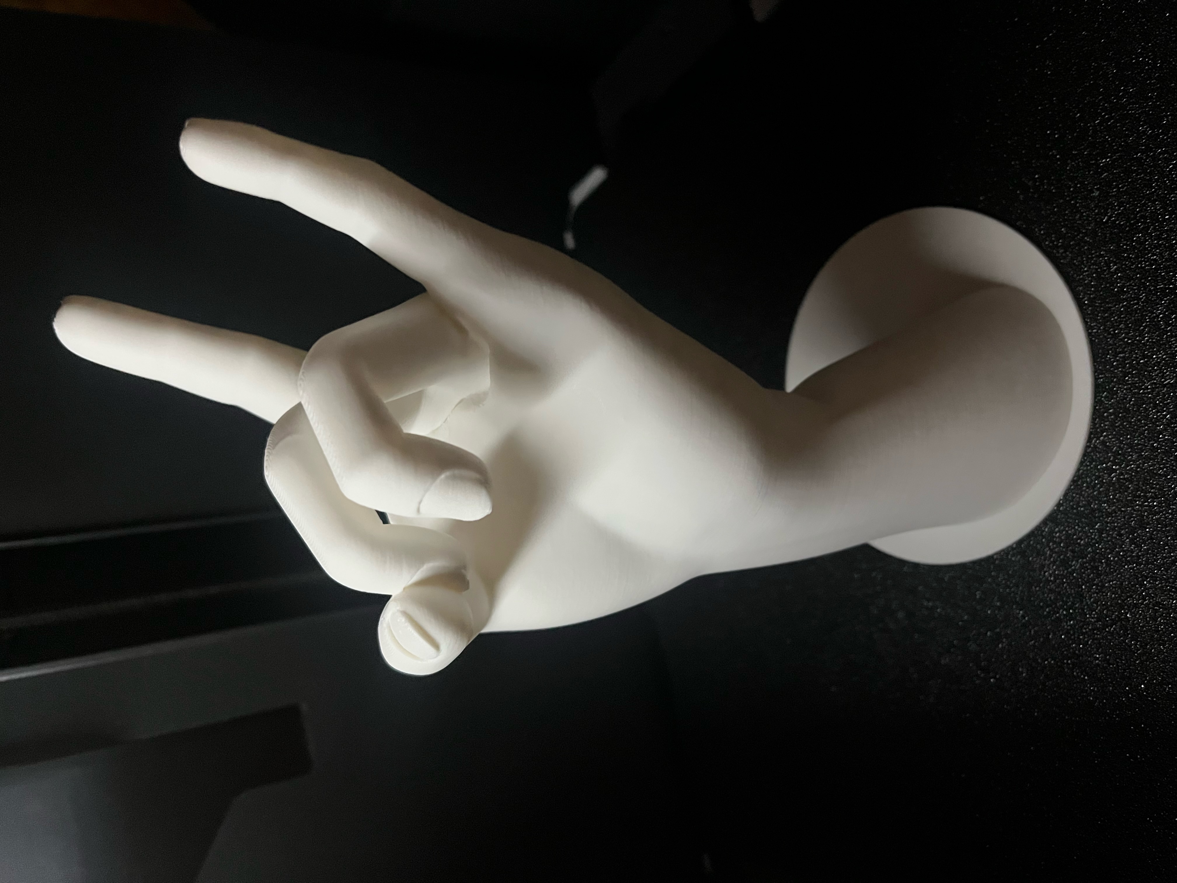 Miniatura 2 do modelo 3D Ringholder hand