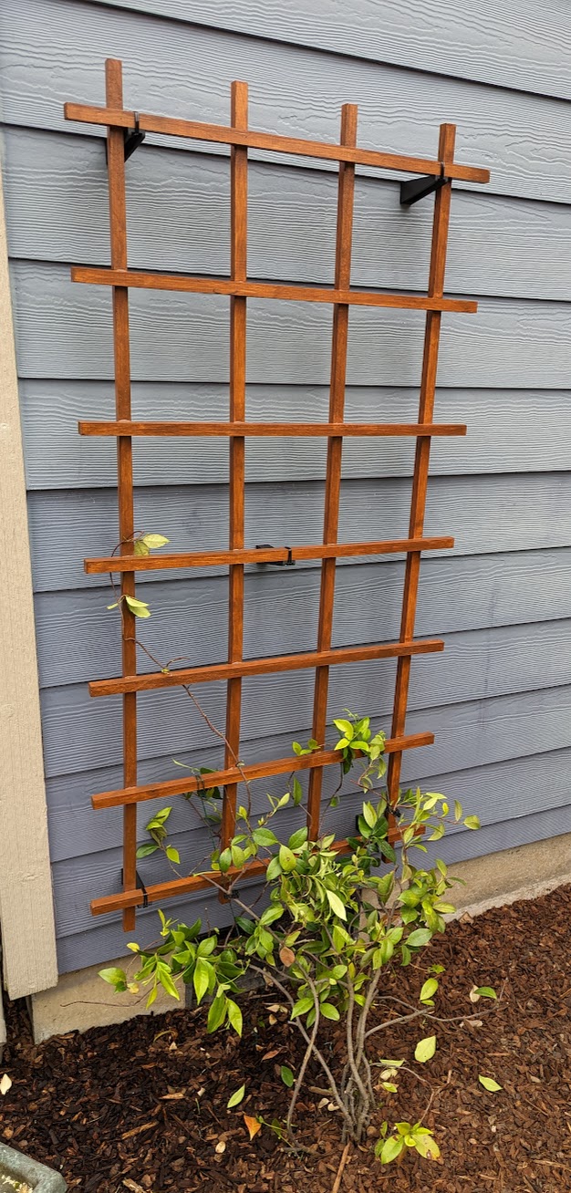 Trellis Wall Mount Standoff (125mm total length) by jurassic73