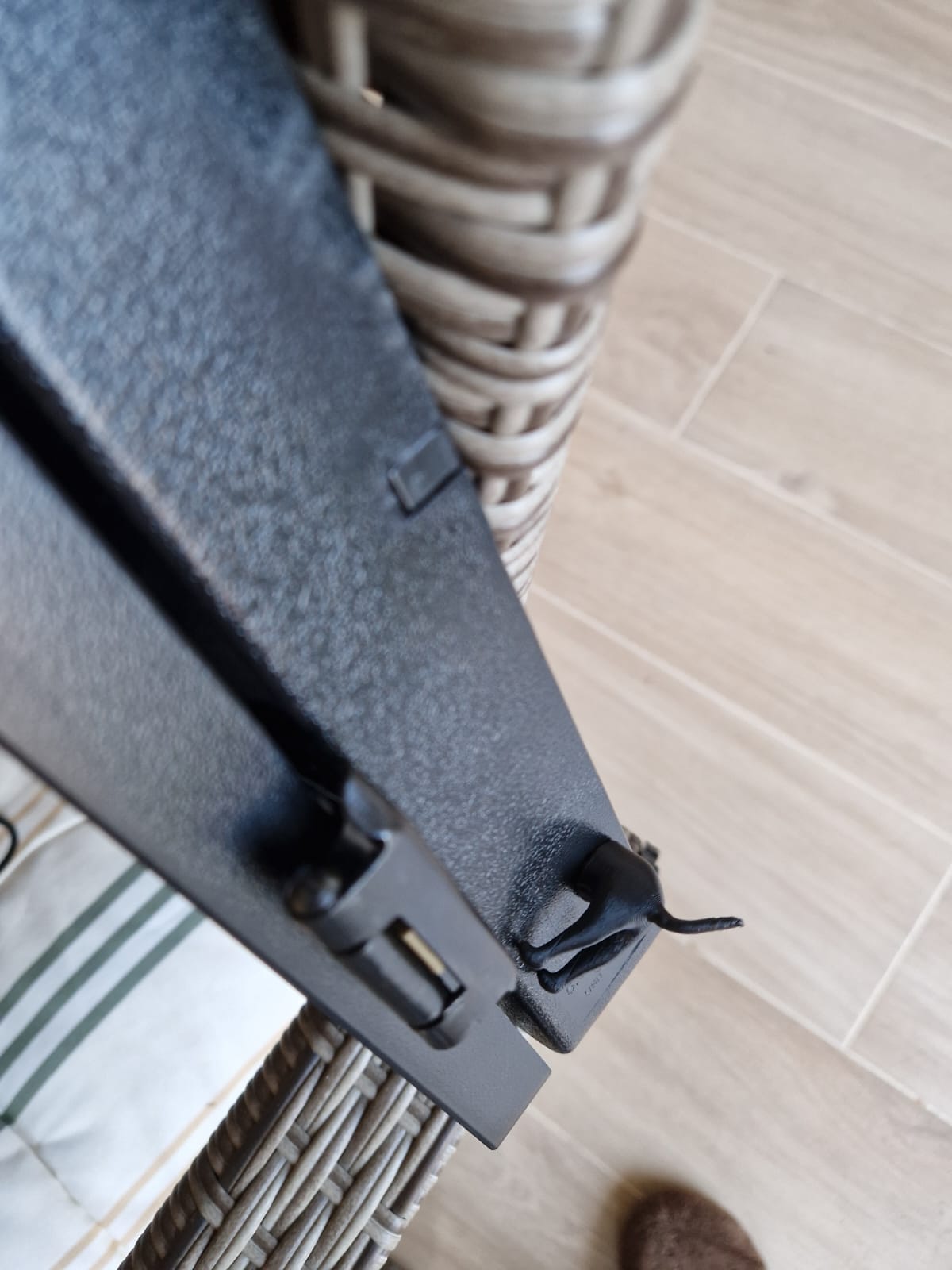 USB C Type dog plug