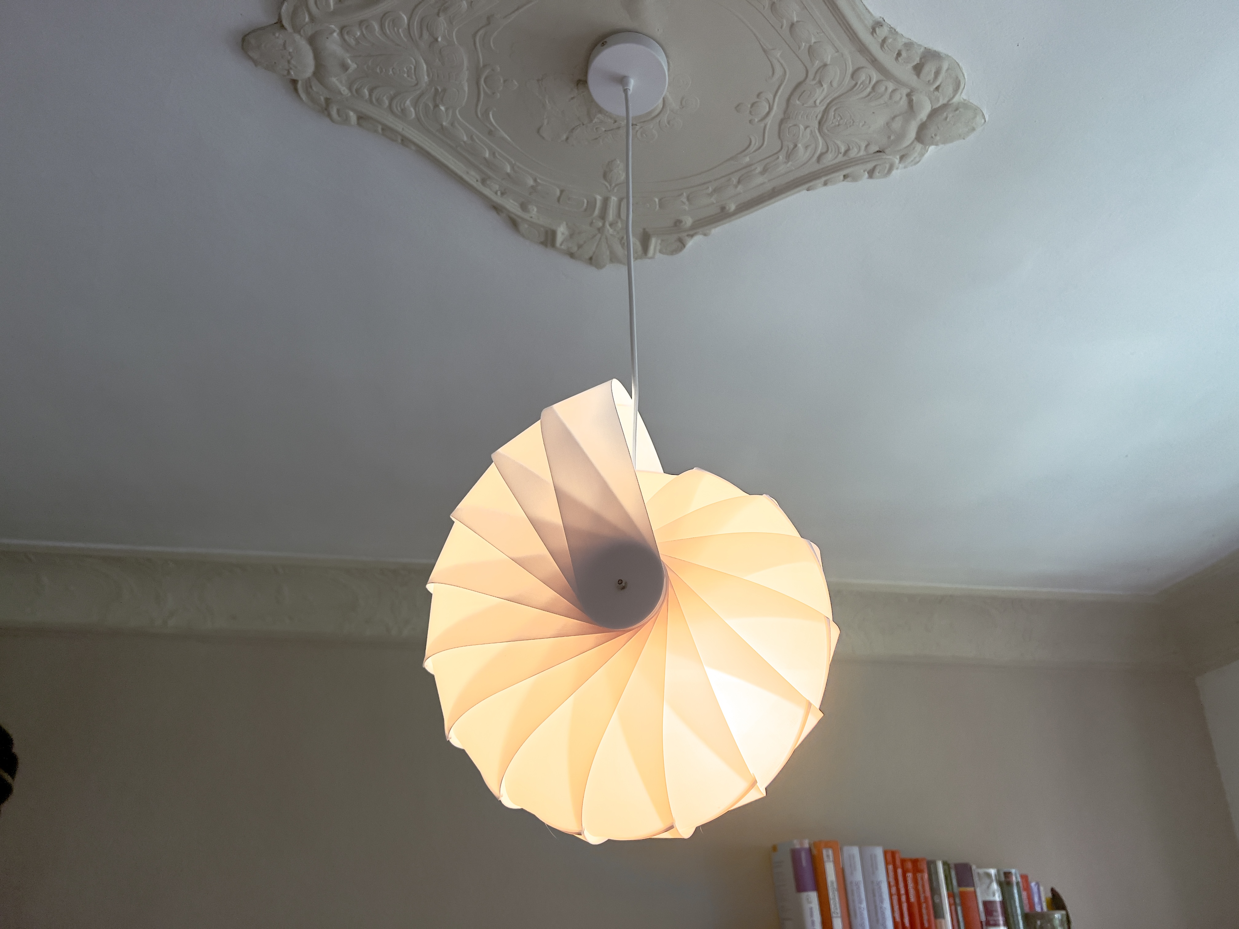 Nautilus lampshade