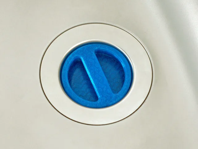 Kitchen Sink Plug
