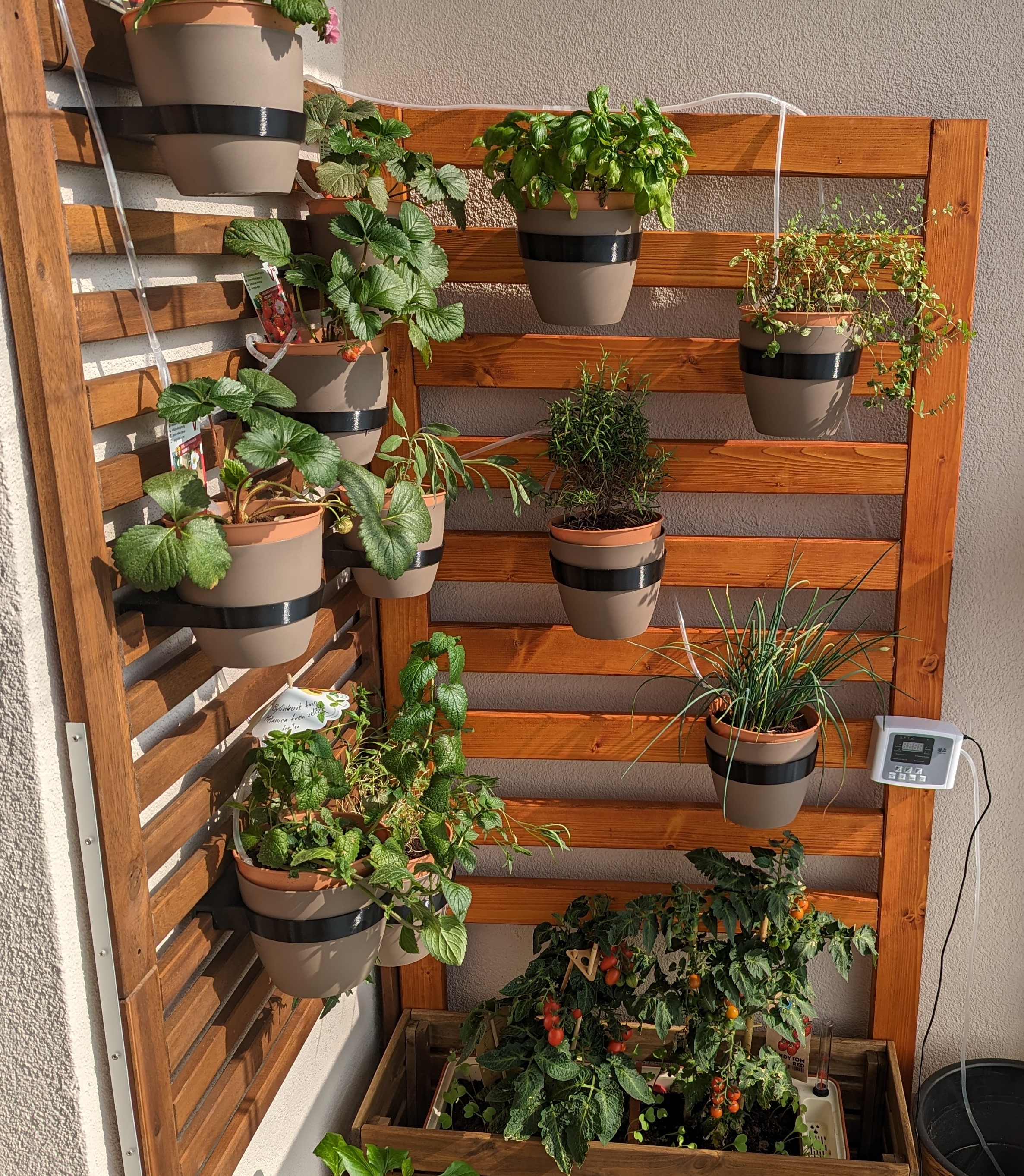 Parametric Applaro/Plant wall planter holder