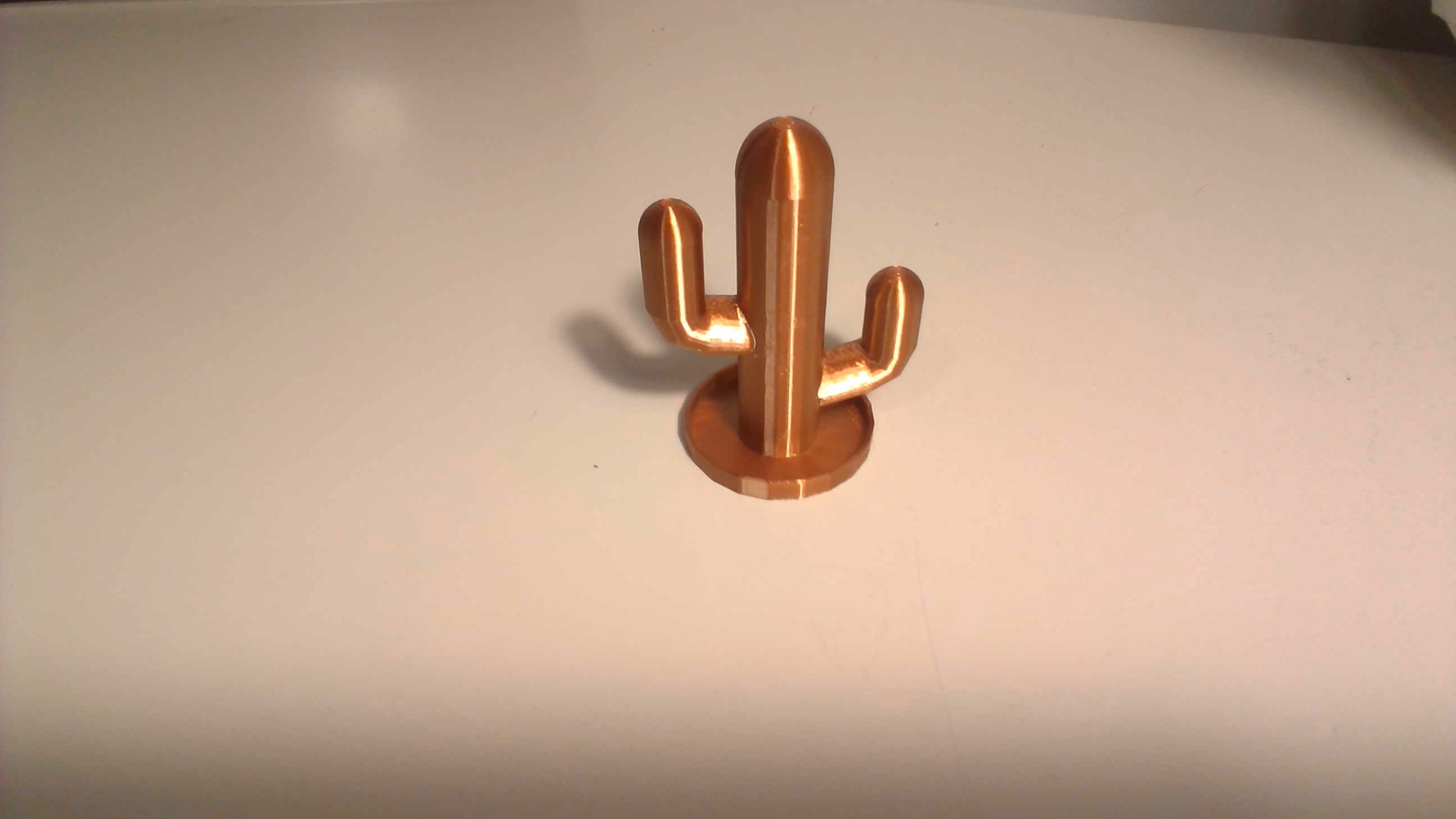 cactus ring holder