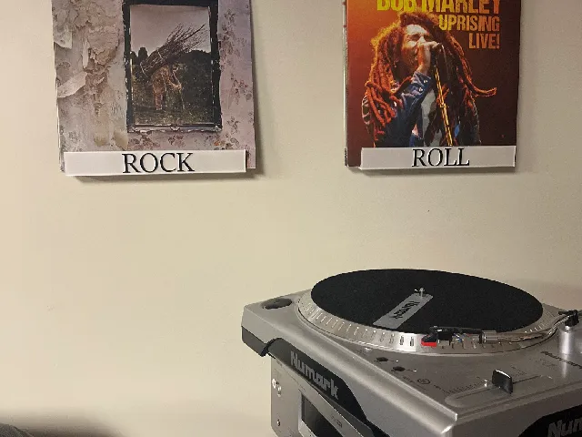 Vinyl Album Wall Mount