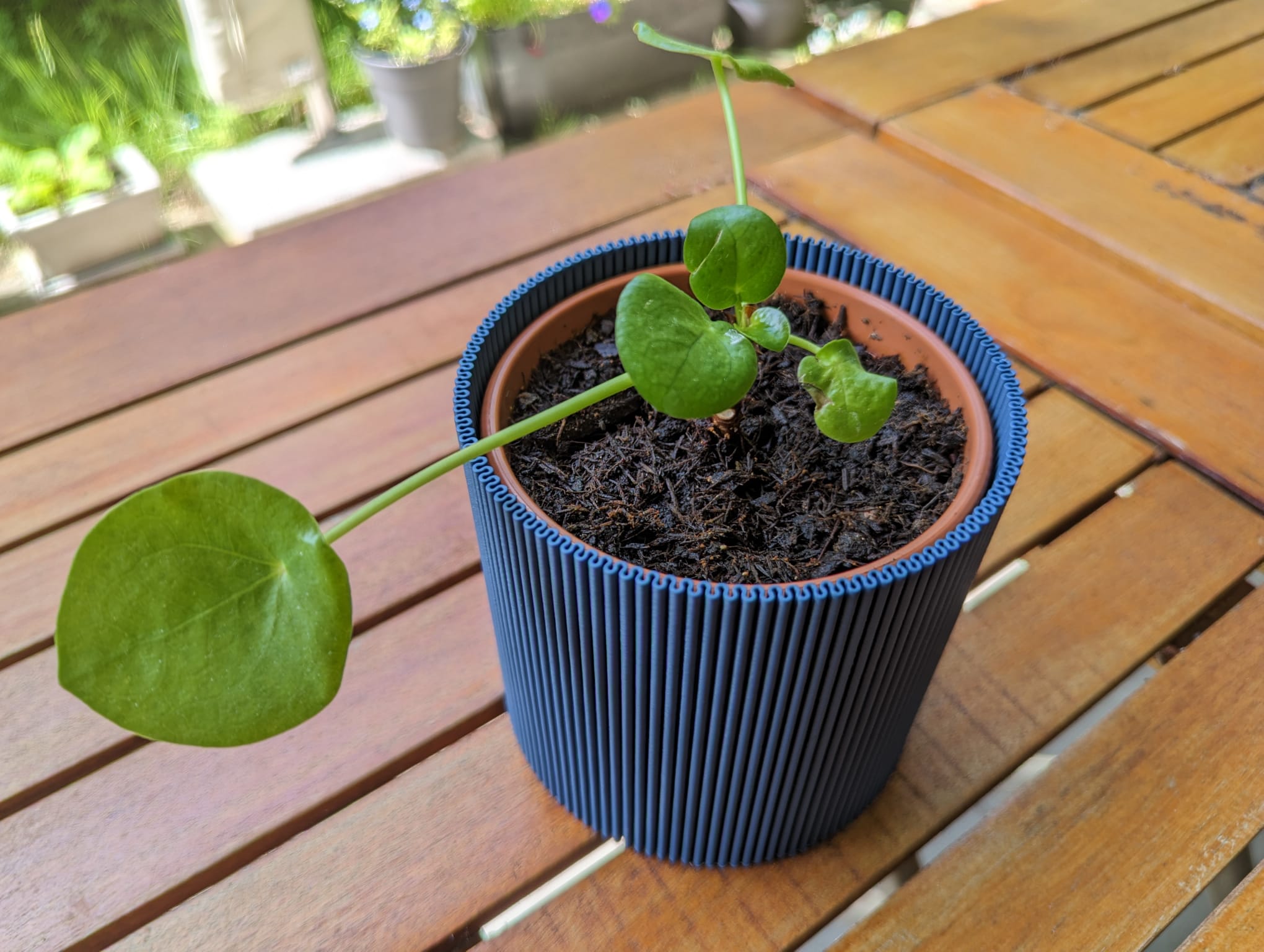 Vase Mode Planter with Bottom Insert