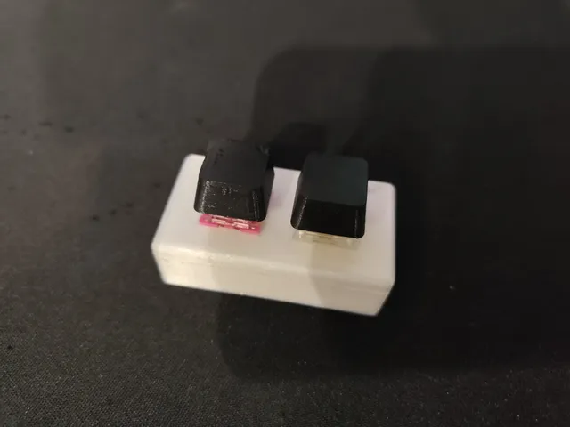 Switch holder