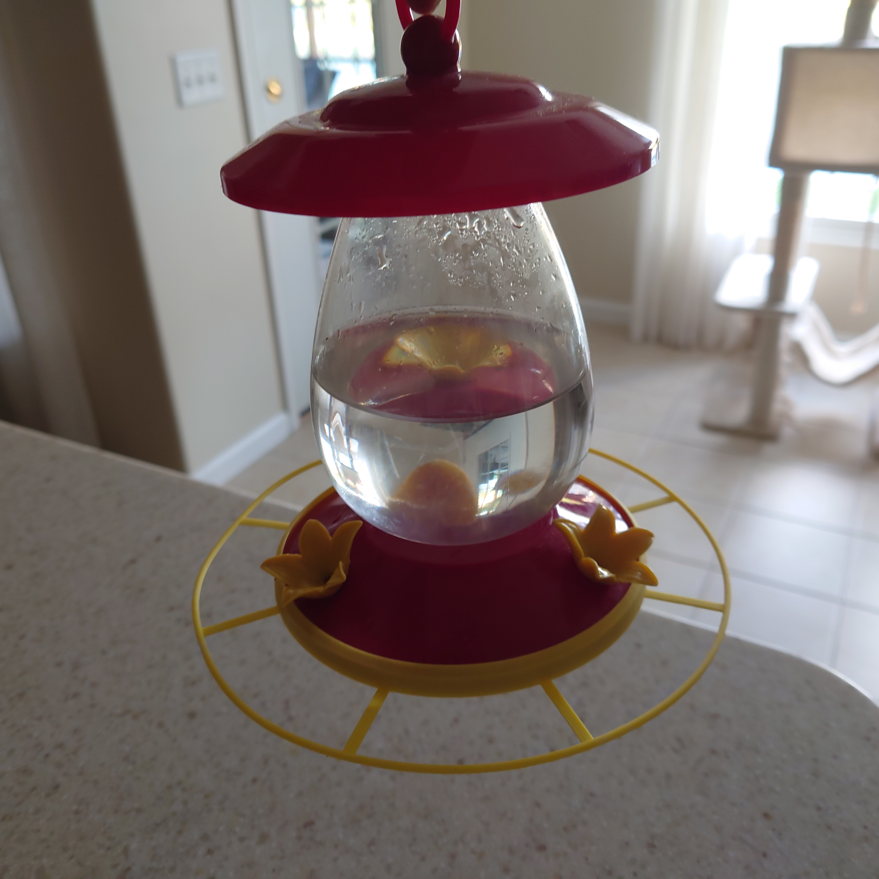 Hummingbird Perch (Lowes Feeder)