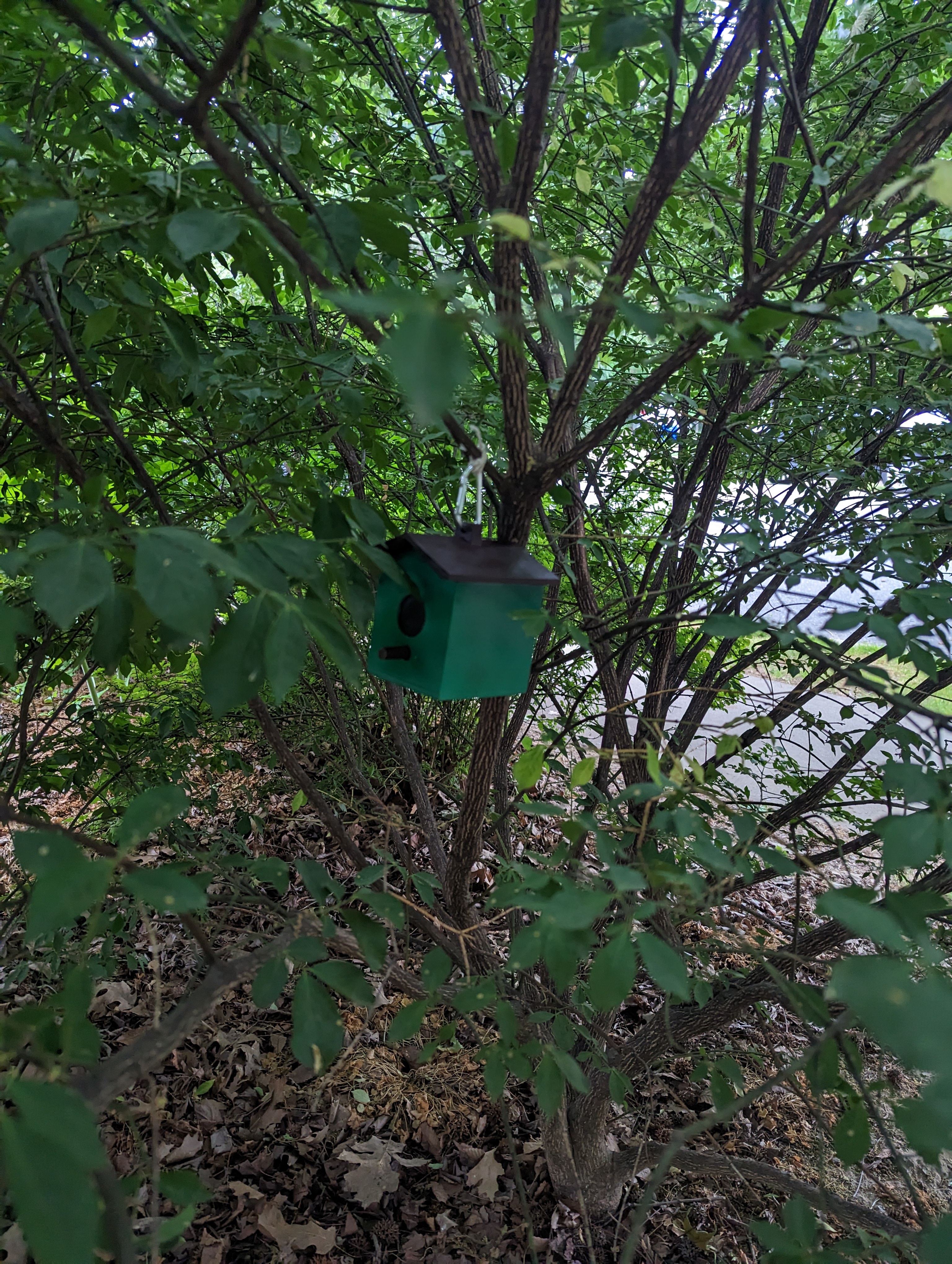 Birdhouse Geocache - Perch Pin