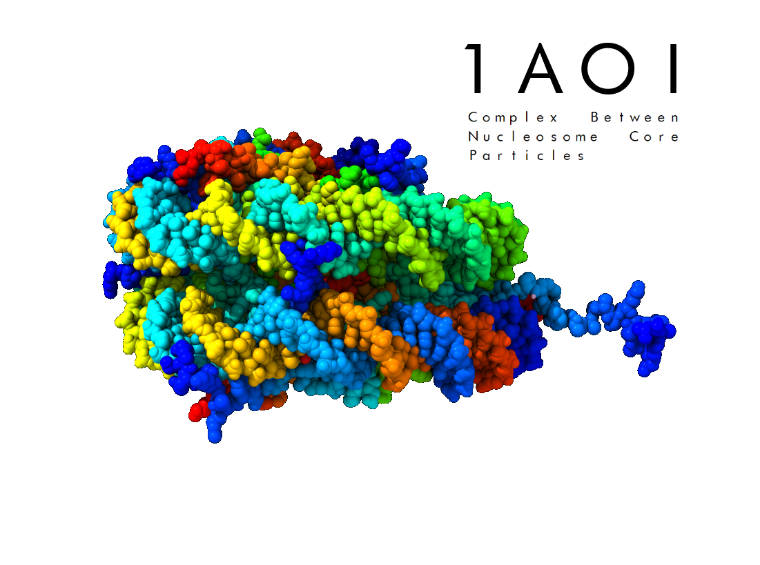 Protein Structure 1AOI: Complex Between Nucleosome Core Particle .