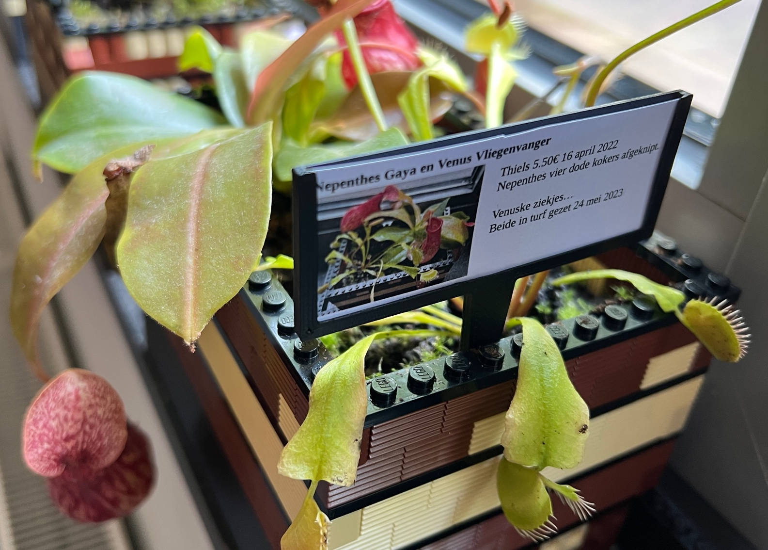 Plant Label