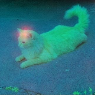ExJ Infrared Camera — thumbnail 10
