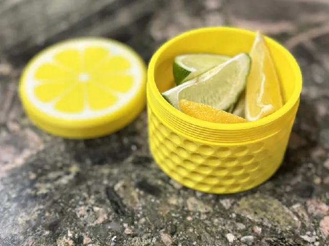 Citrus Fruit Container