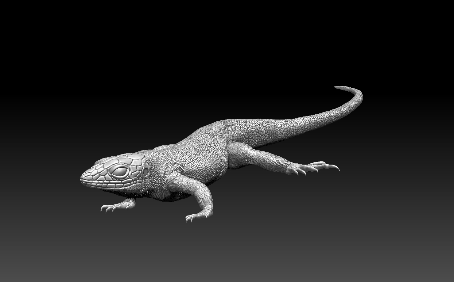 lizard