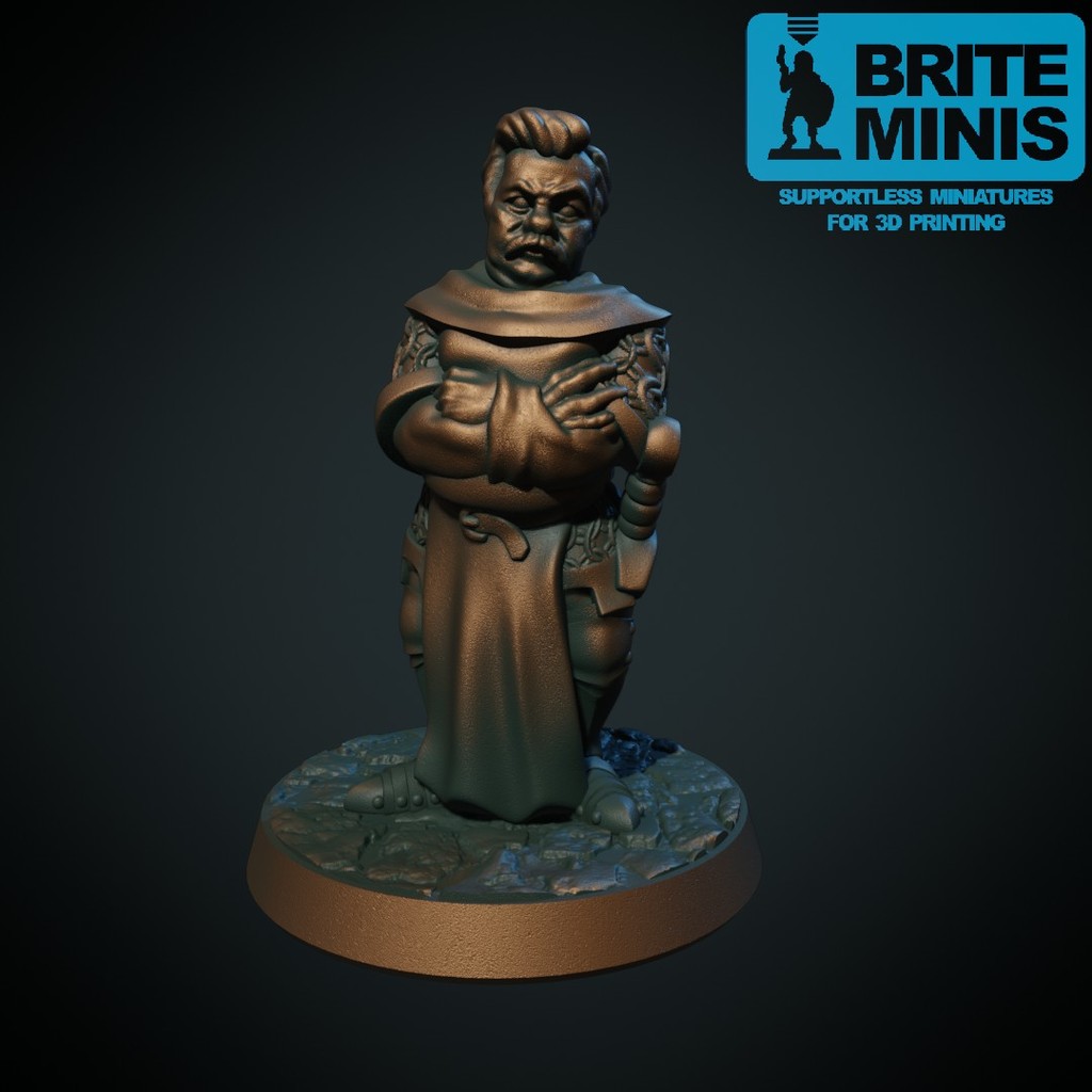 Ron von Schwansohn (Supportless, FDM friendly) by Brite Minis ...