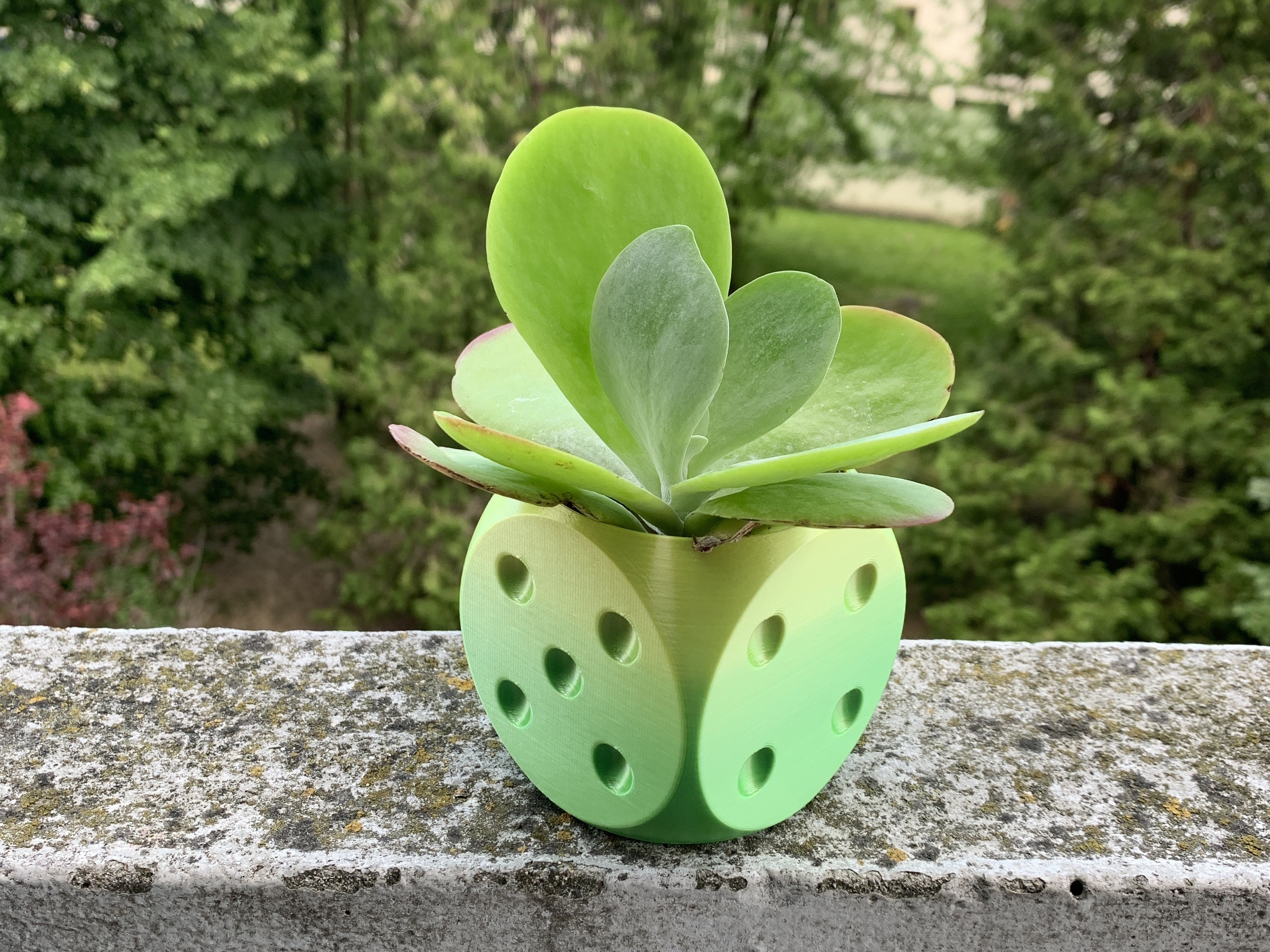 Dice flower pot vase mode with inner pot by maxkf Download free STL