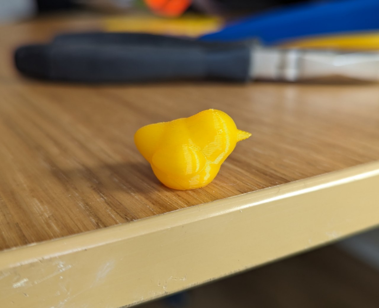 Cute chick