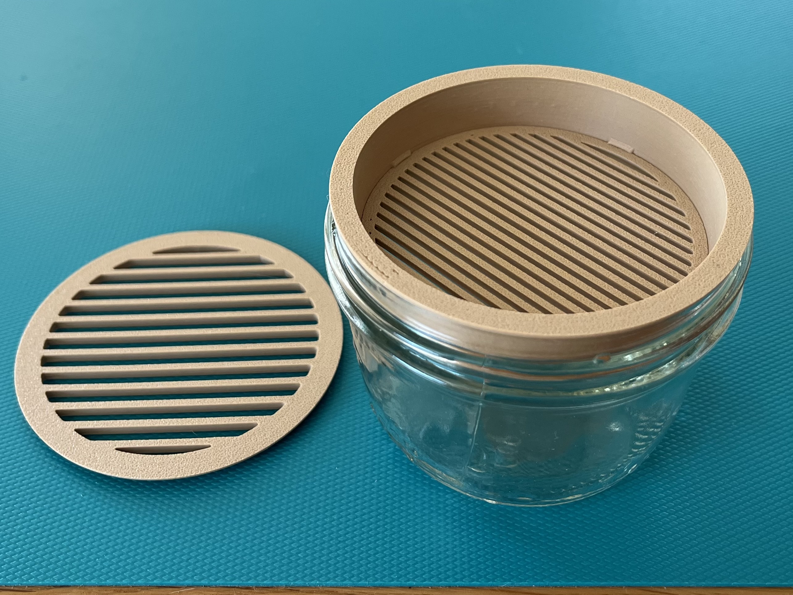 Cat Grass Growing Kit Standard and Wide Mouth Canning Jar by