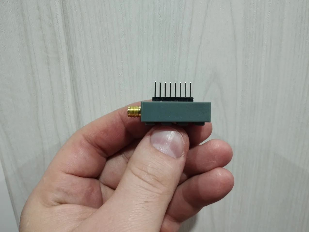 衛生日用品 club-papillon 21dvt3NrFtL._UF350,350_QL80_.jpg