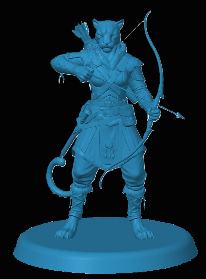 Tabaxi Ranger — miniatura 3