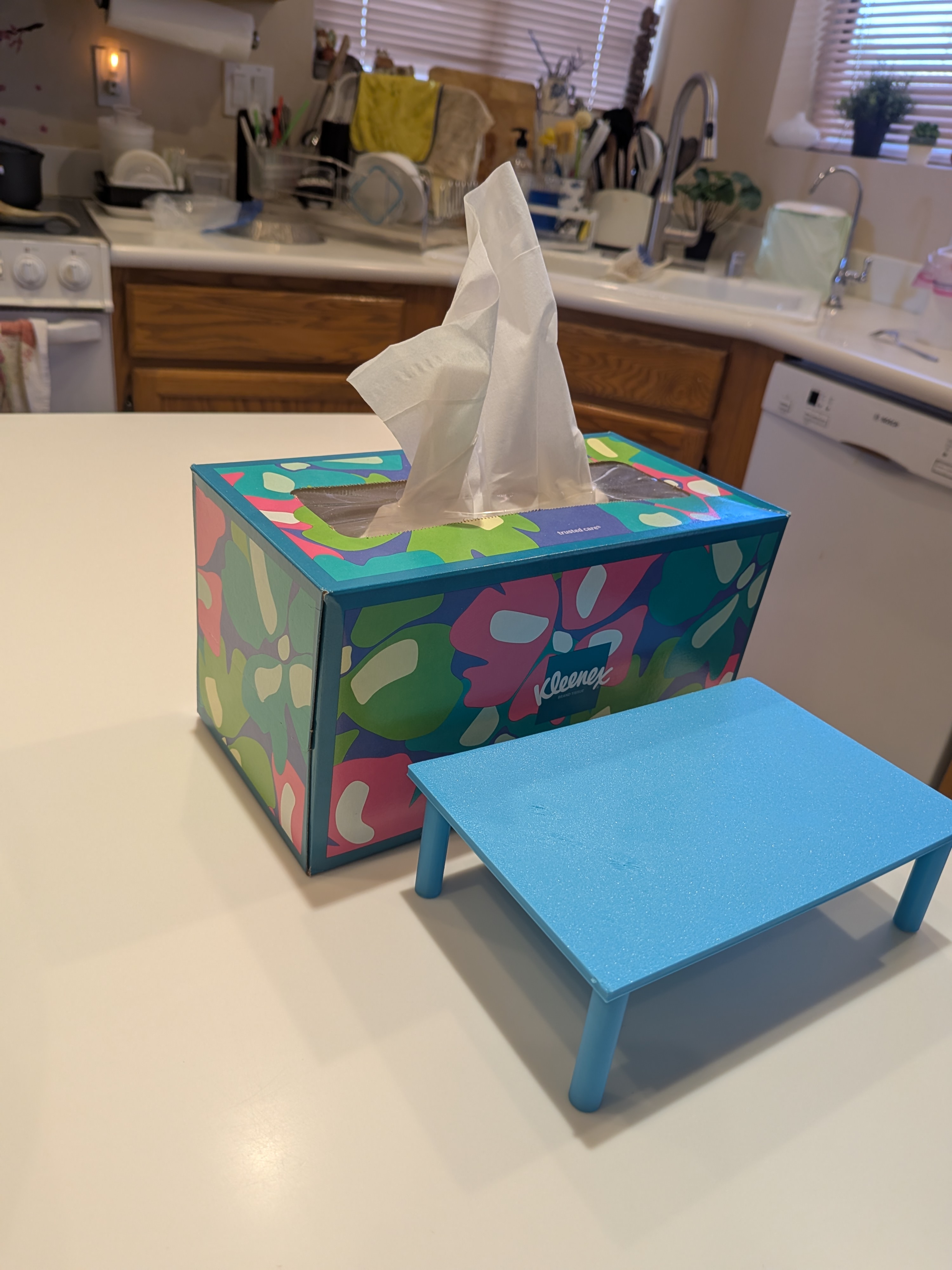 Tissue Box Riser