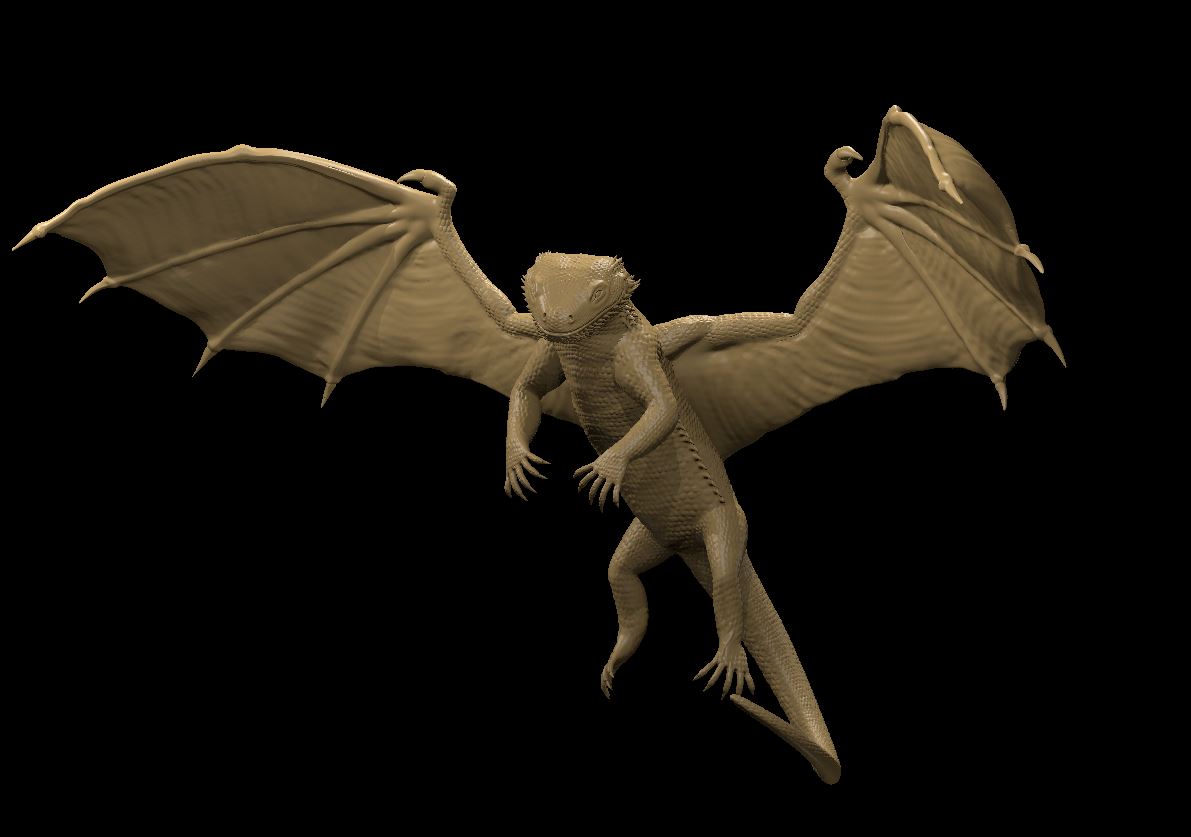 Bearded Dragon Lizard Dragon and Bearded Dragon Lizard
