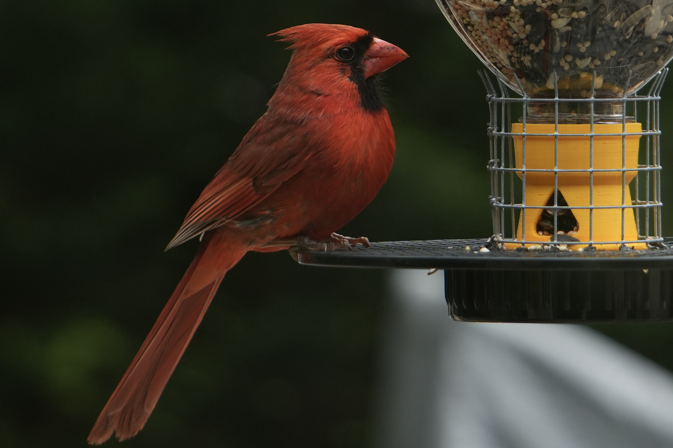 Upcycled Bottle Bird Feeder – Snapple, Ocean Spray & Prusament Spool Flange