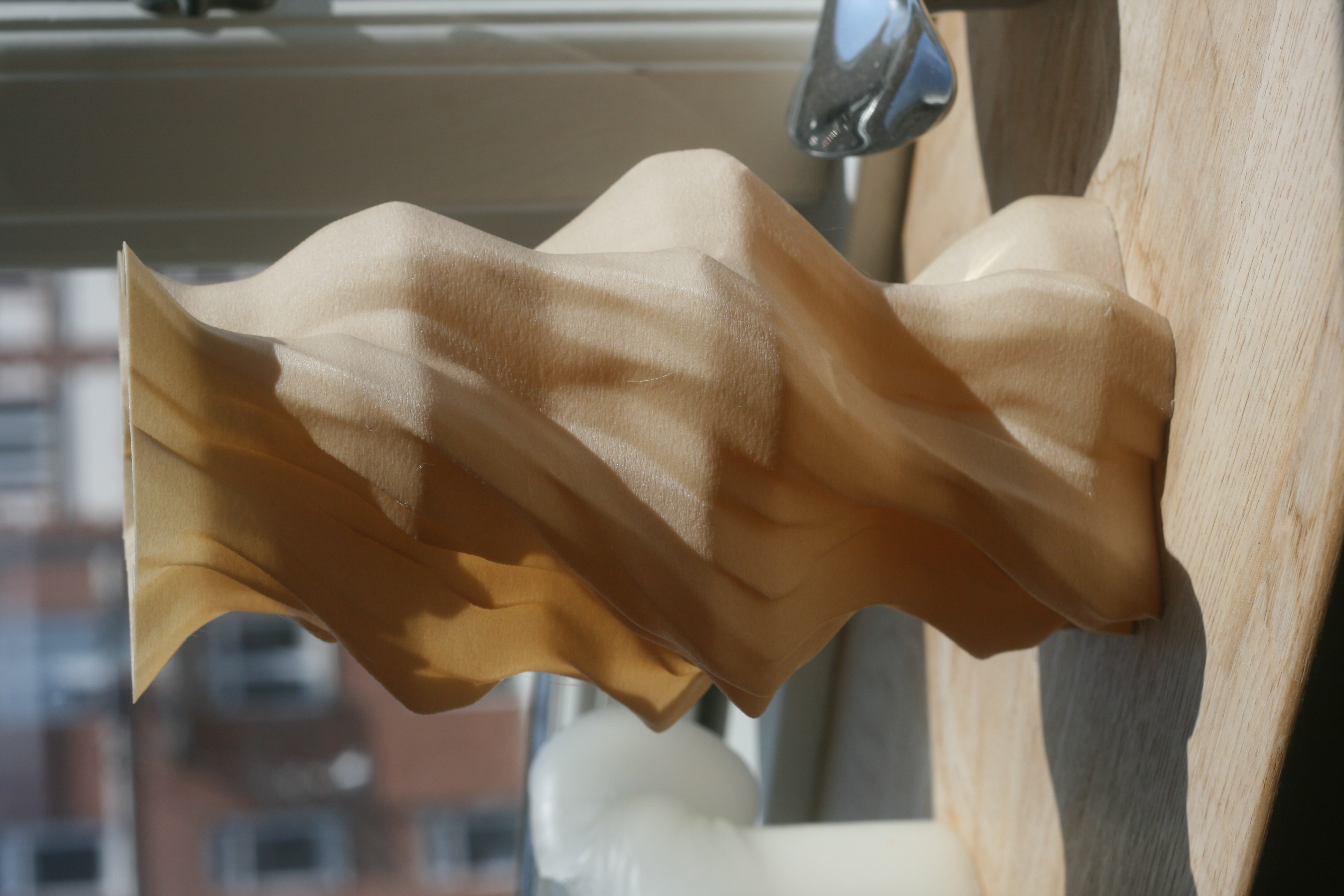 Curved organic two face vase