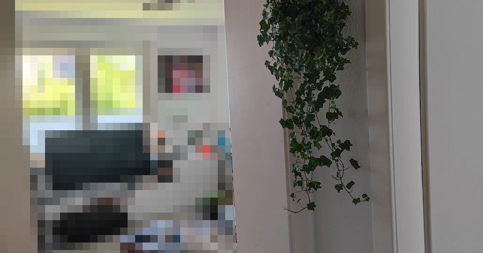 Room Corner Flower Pot (selfwatering) by noEntry Download free STL