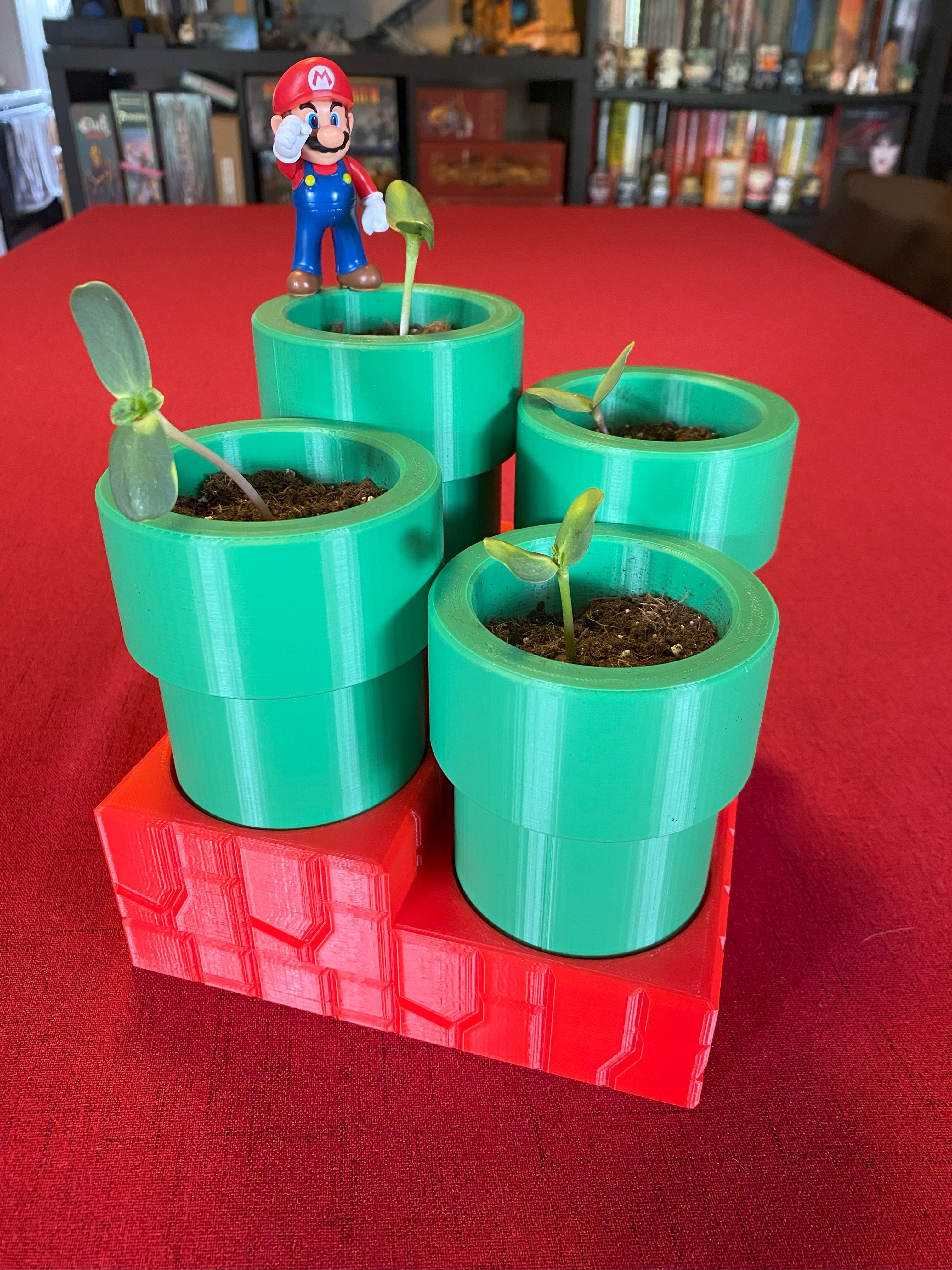 Super Mario Brothers Herb Garden 3D model thumbnail