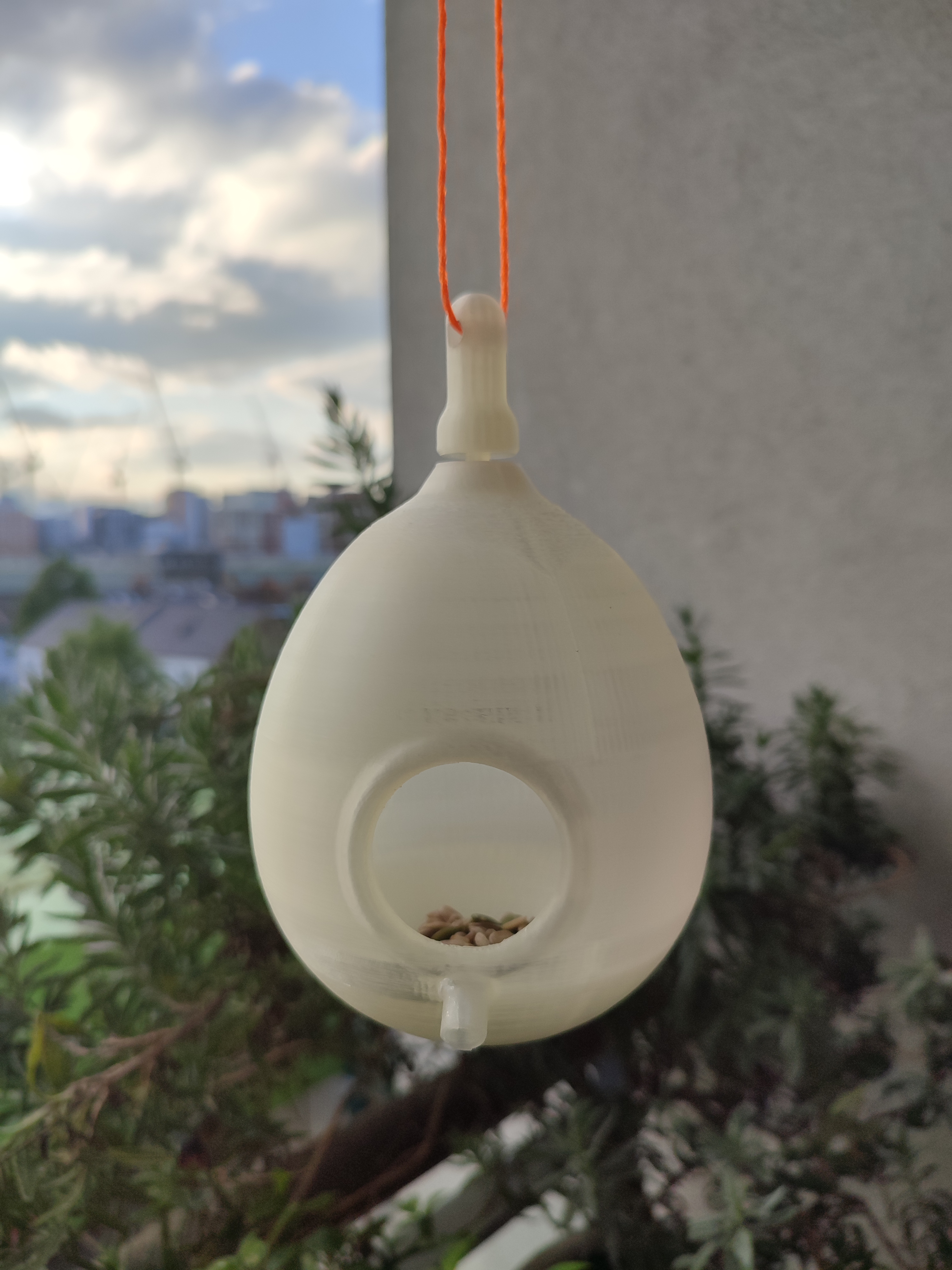 Bird Feeder