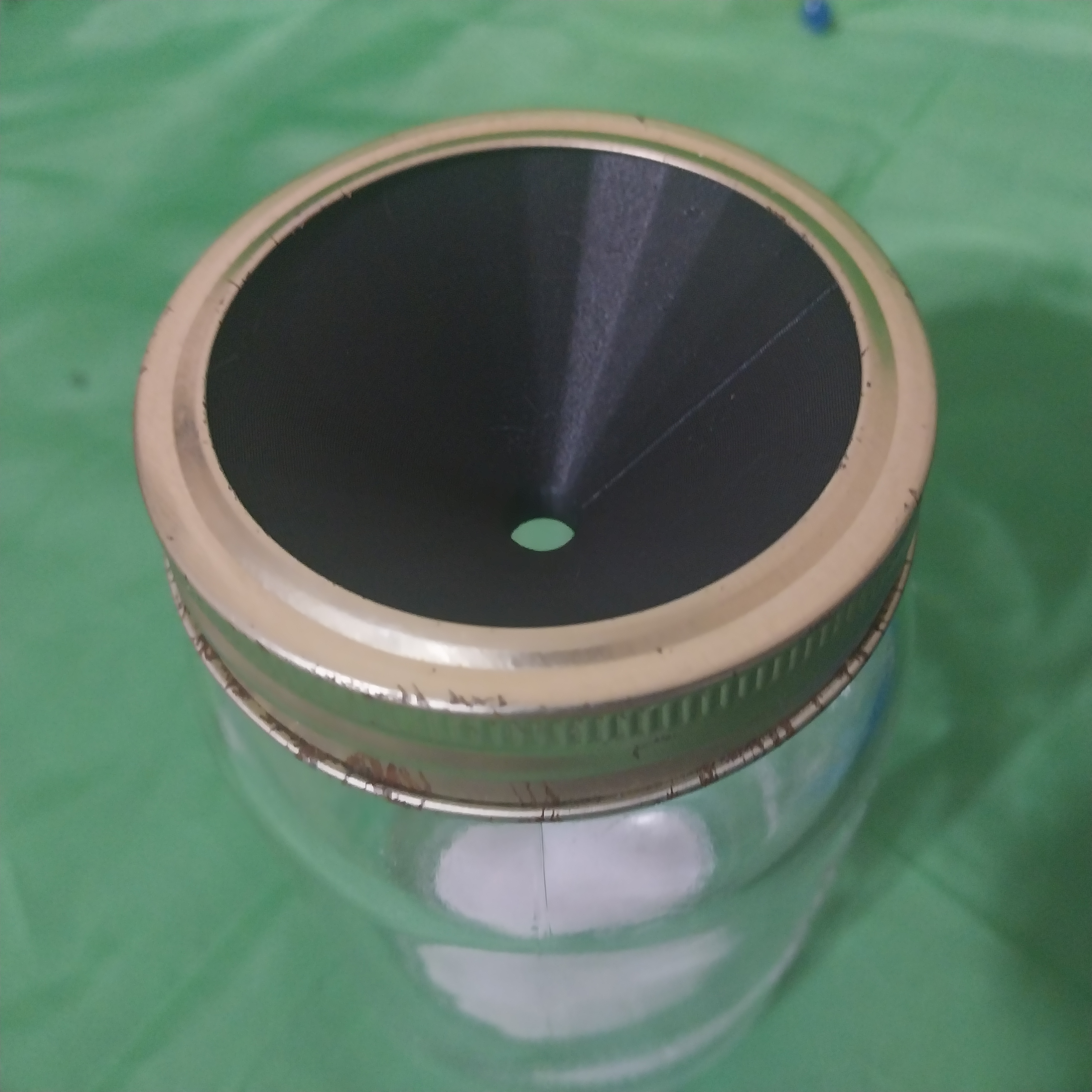 Mason jar fruit fly trap