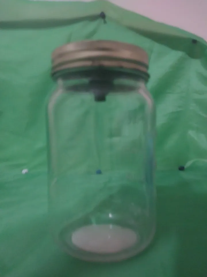Mason jar fruit fly trap by ollinek | Download free STL model ...