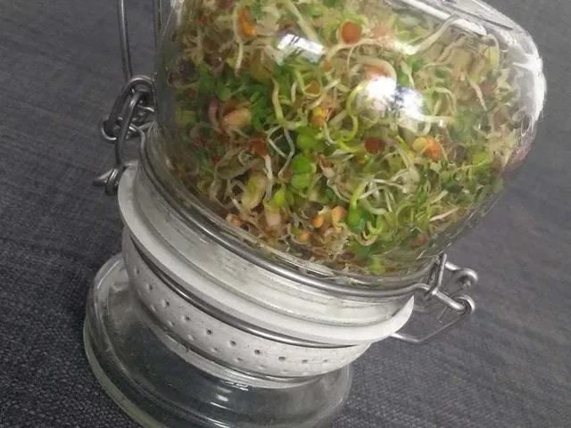 Full Power Flower Plant - Seed Sprouter