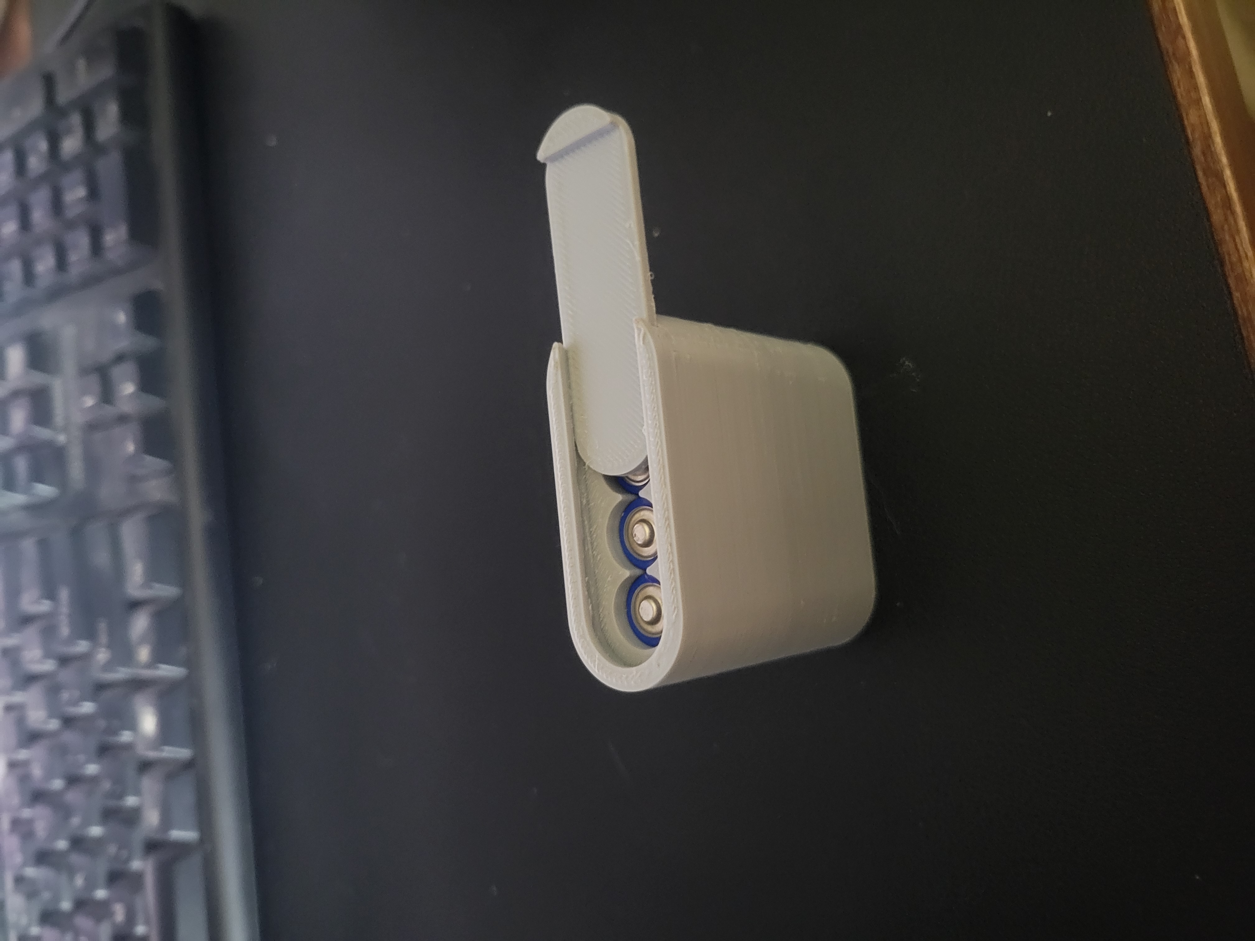 AAA battery storage box for 4 batteries