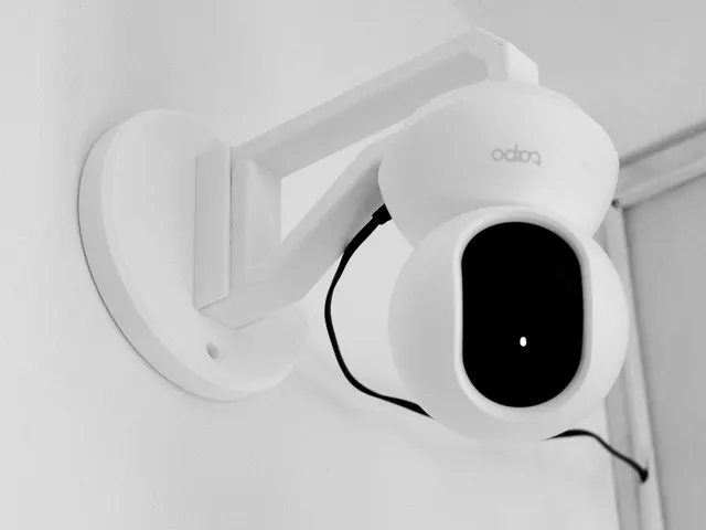 WiFi Camera Wall Mount (Tapo C210)