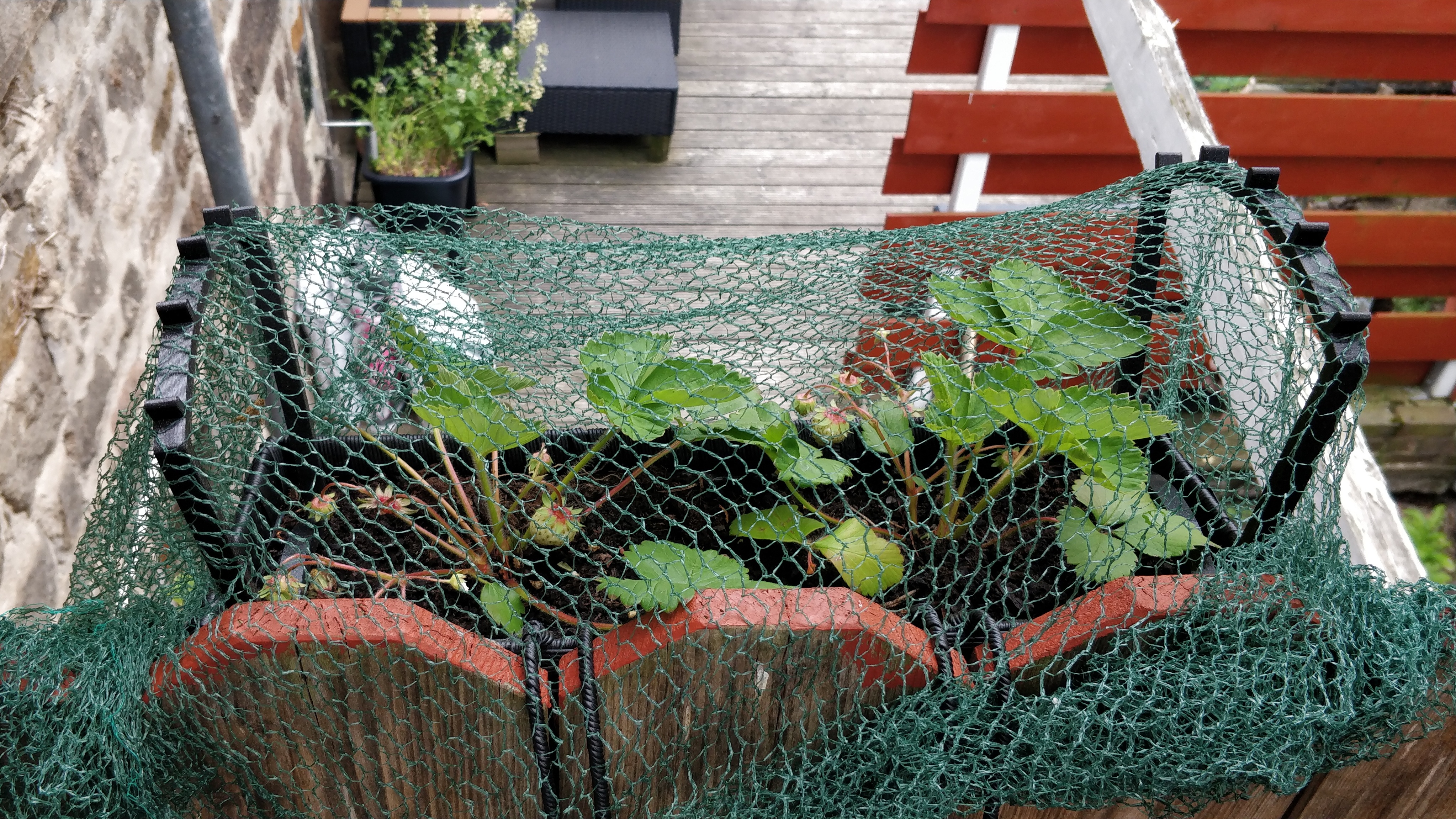 Planter box arch for bird protection net / Pflanzkasten Bogen für Vogelschutznetz