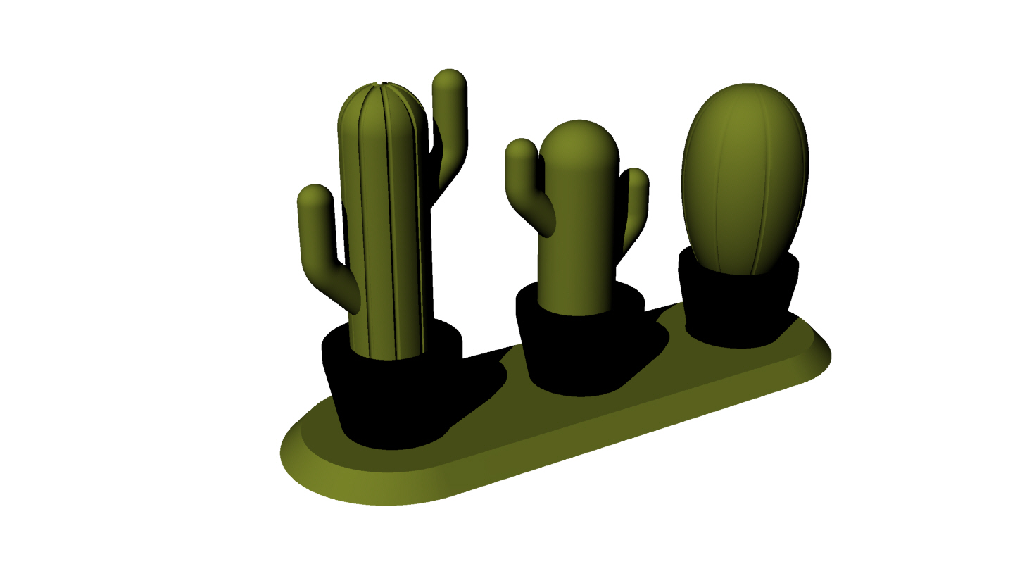 CACTUS POTS & STAND