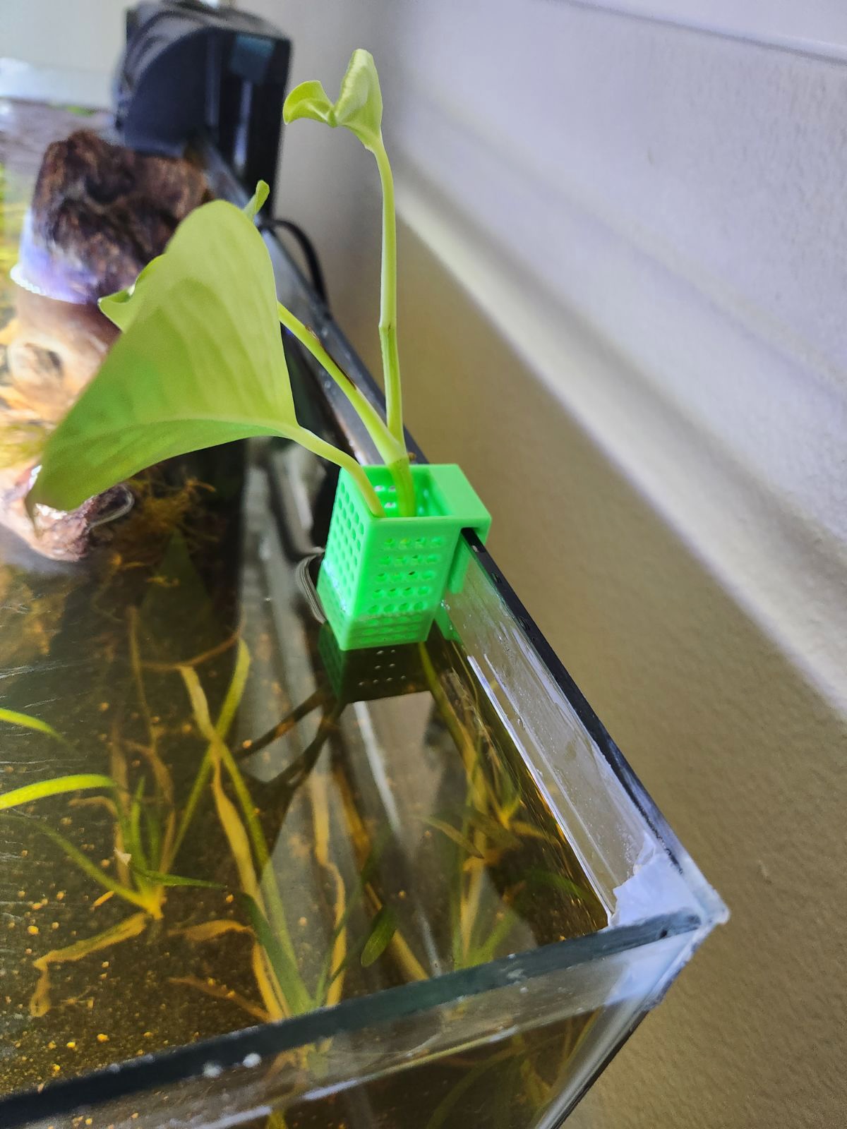 Aquarium plant holder by Eric Download free STL model