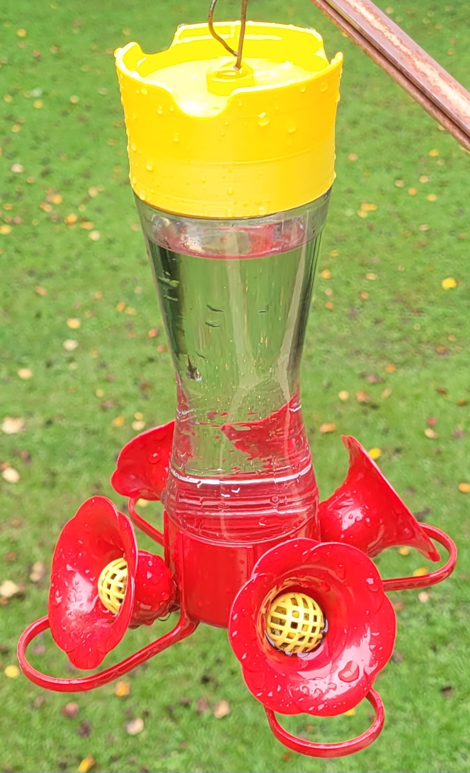 Modified Top - Hummingbird Feeder Replacement Parts