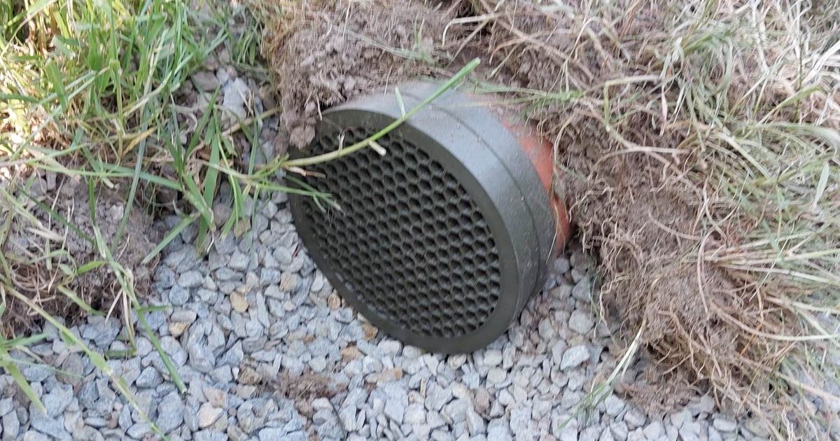 110 mm drain pipe cover remixed by PetrFlora Download free STL model