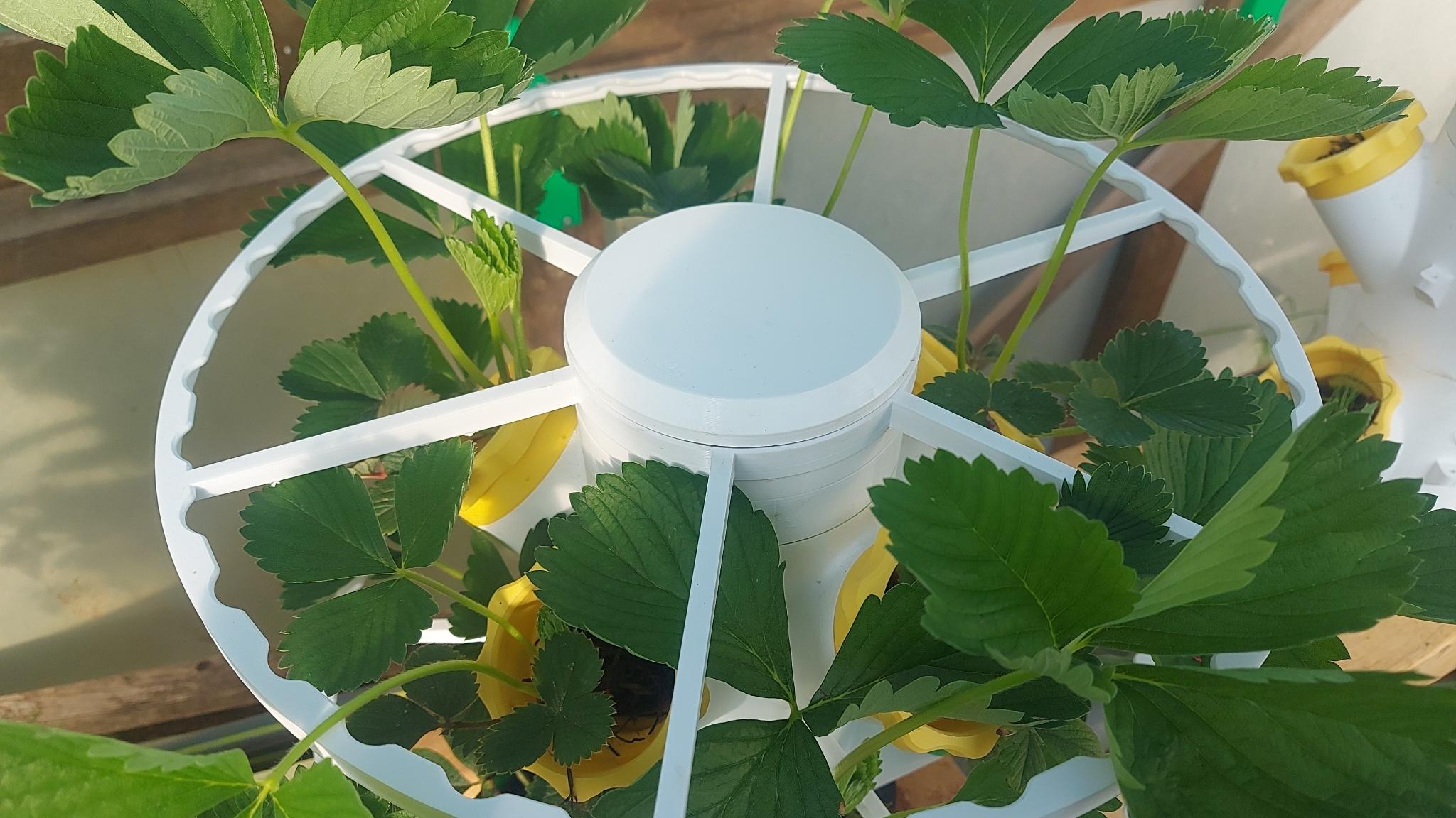 Ring plant support - Modular rotating hydroponics tower