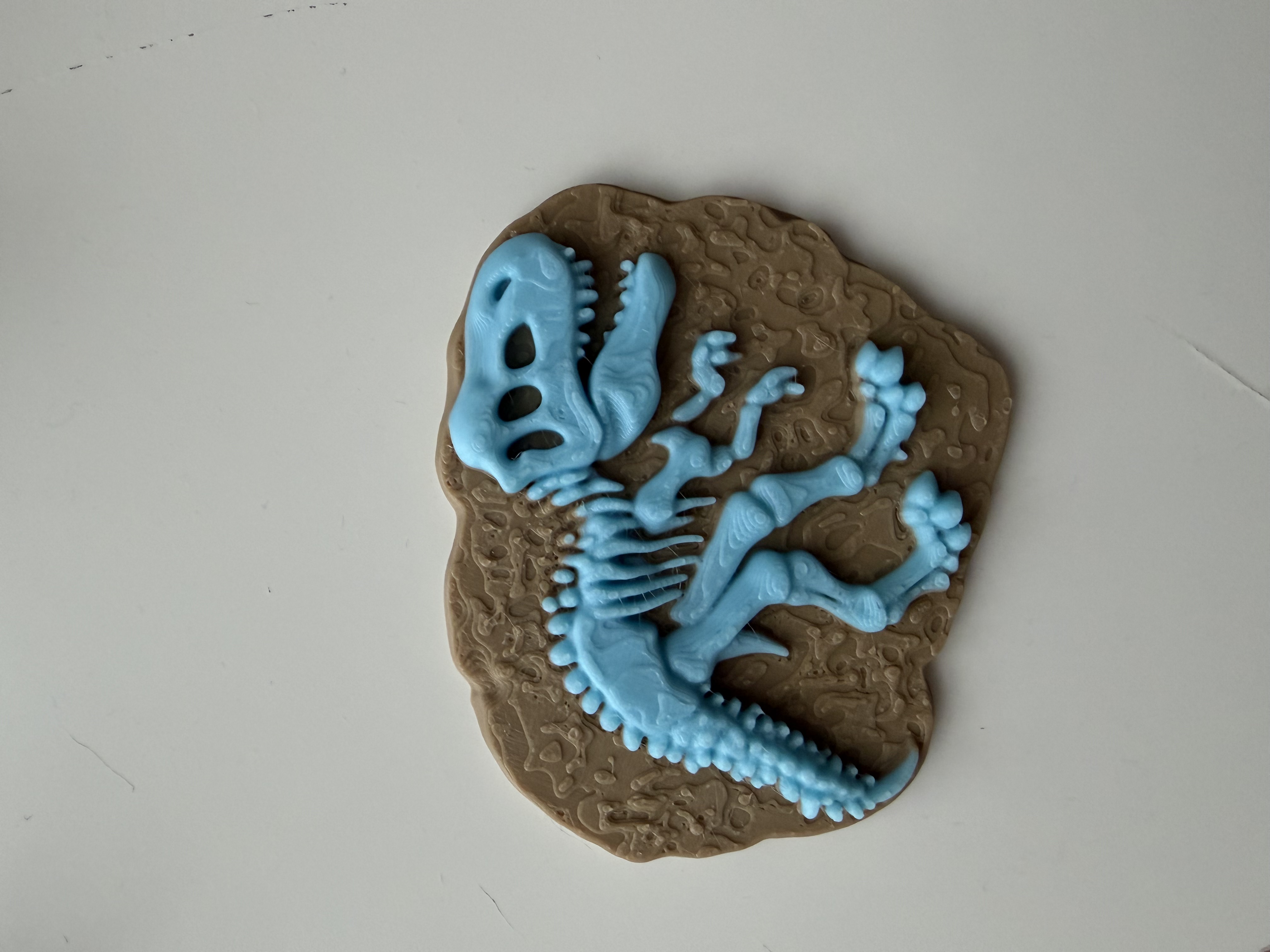 T-Rex fossil — miniatura 3