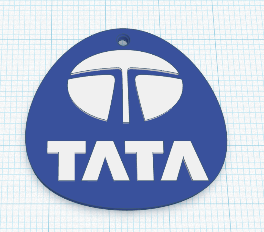 Tata keychain