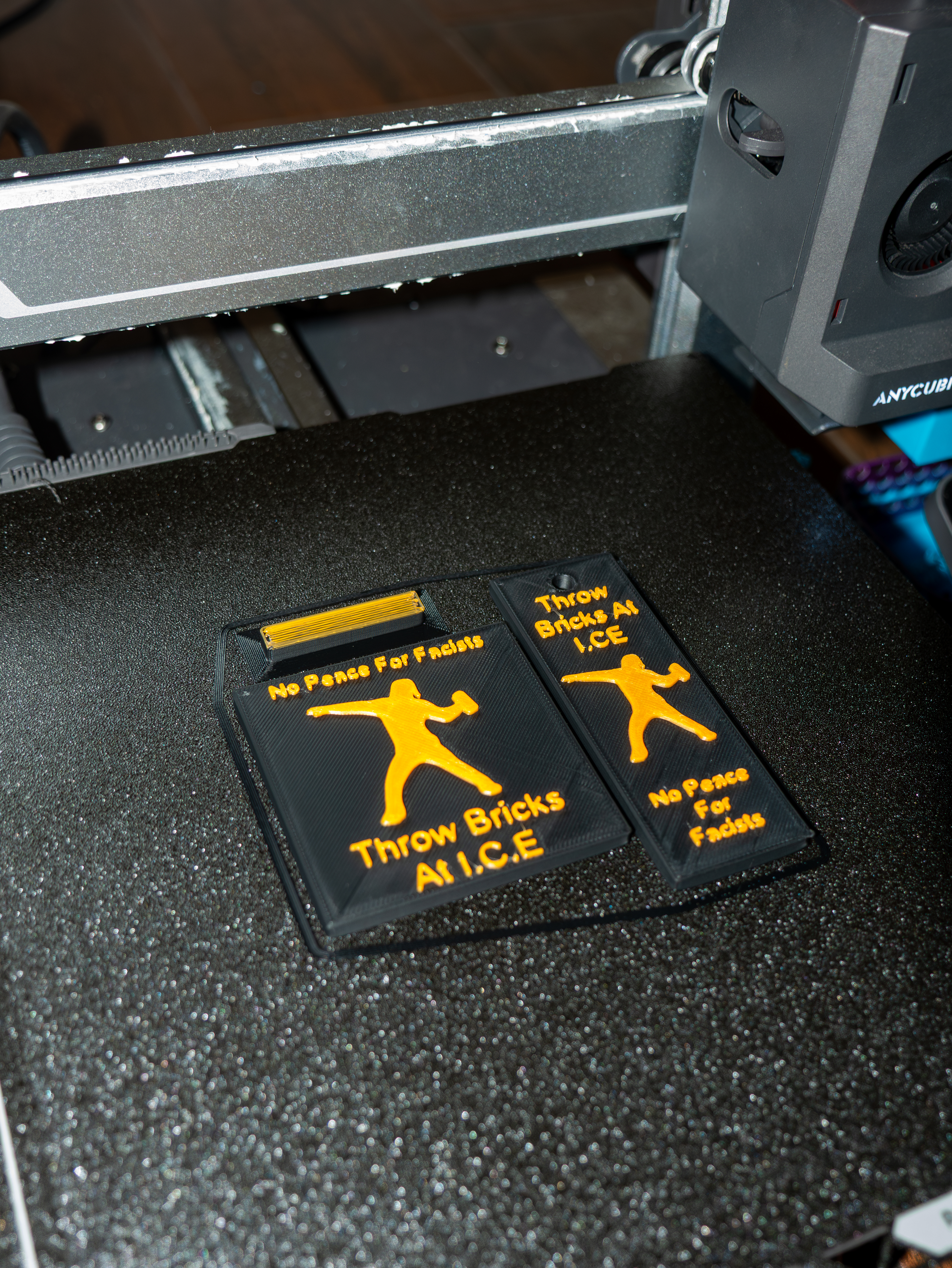 Anti I.C.E Plaque and Keychain