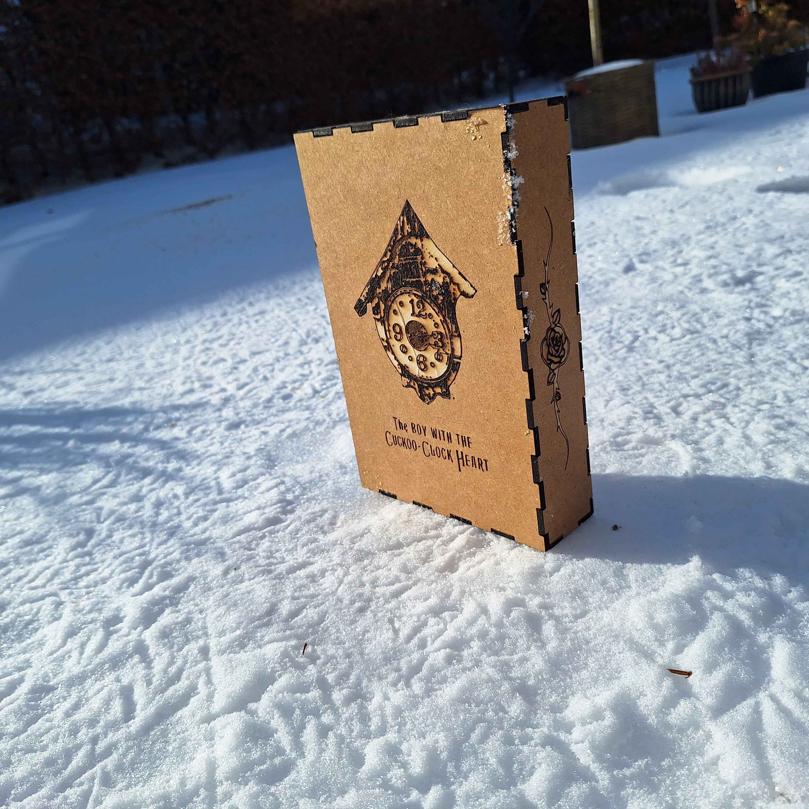 Jack and the Cuckoo-Clock Heart DVD and Book box
