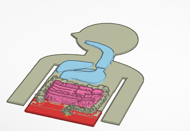 the digestive system