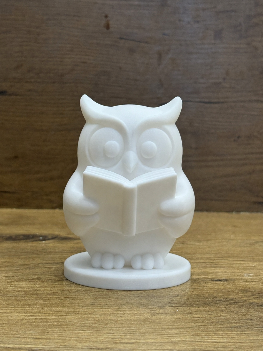 Wise Owl Reading Buddy 1/3